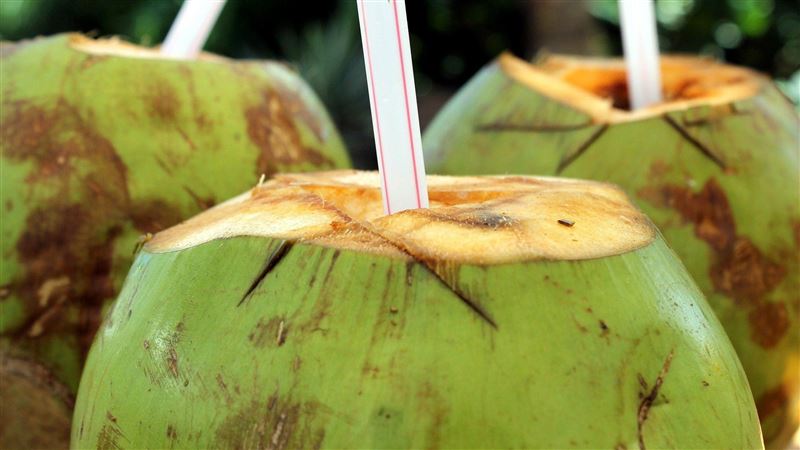 Caution with Coconut Water while Traveling in Southeast Asia: Doctors Warn High-Risk Groups