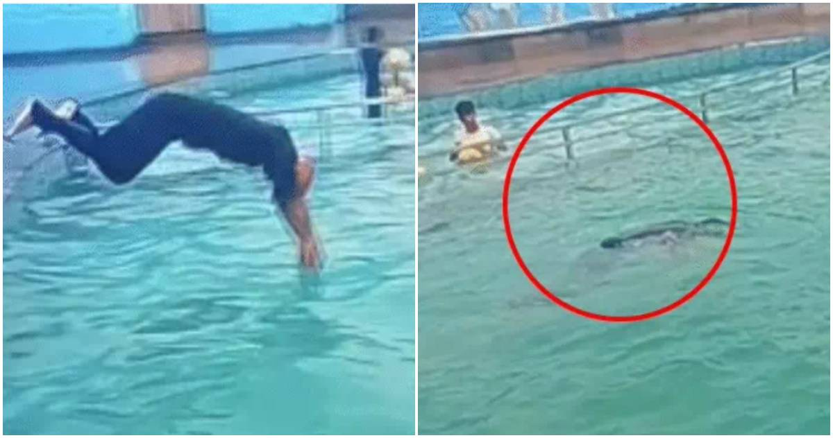 Indian Man Dies Performing Dive at Pool Party, Family Faces Hardship