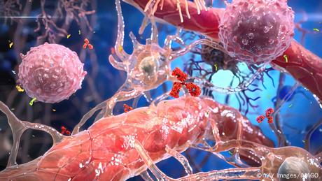 The Invisible Defense: How the Lymphatic System Protects Your Health