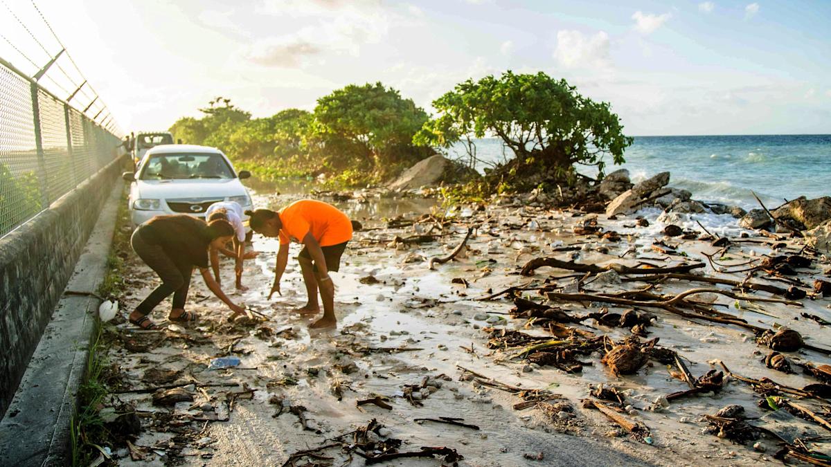 UN Supreme Court Allows Countries to Sue Each Other Over Climate Change